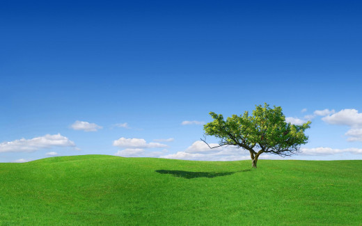 503790 (a): :2560x1600